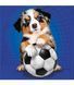 Детски Пъзел Кучета 3X55 Части 63455 photo 6